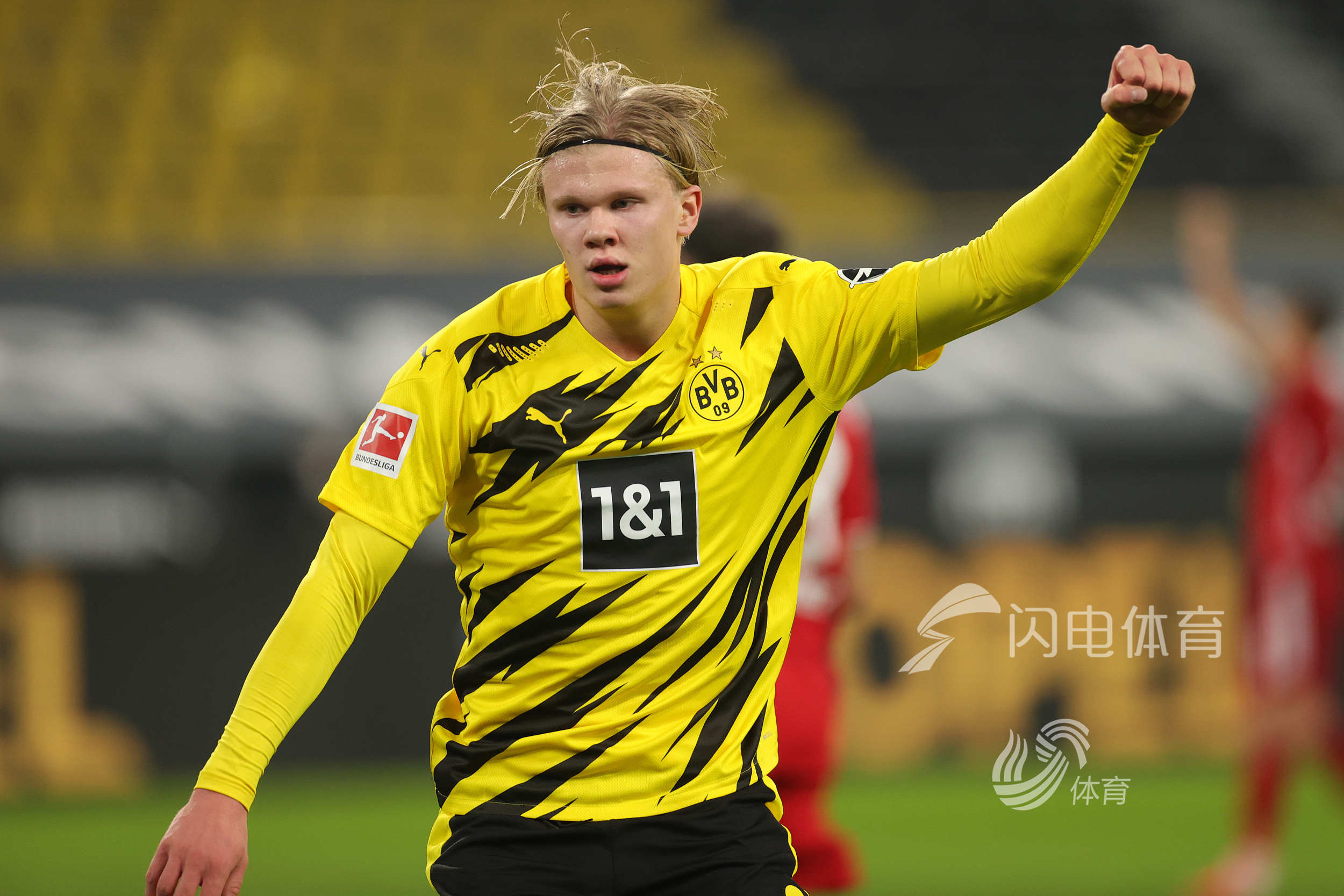 可预期秩序 可预期秩序