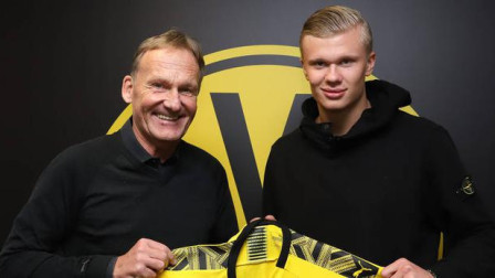 这意味着 这意味着