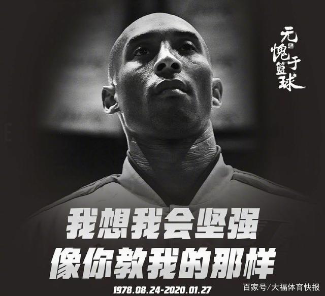 这些均属 这些均属